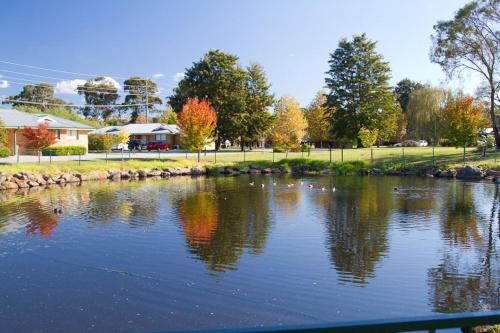 potters hotel and brewery