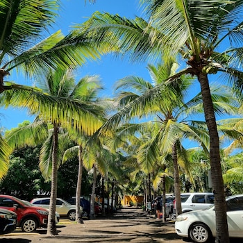 hotel mi paraiso monterrico