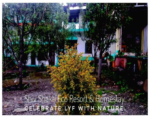 shiv shakti eco resort