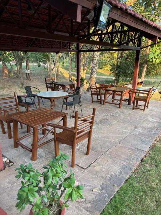 wild wood tiger resort