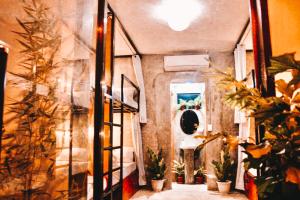 hangover hostel