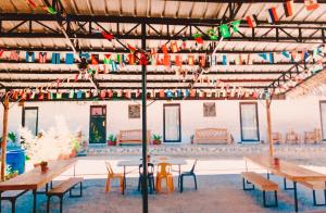 hangover hostel