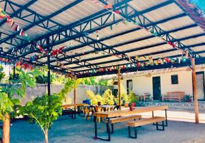 hangover hostel