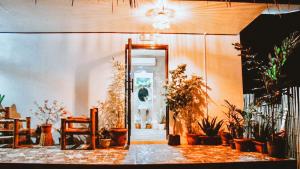 hangover hostel