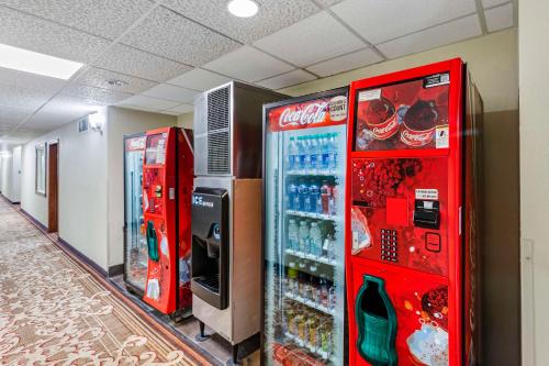 best western elko inn