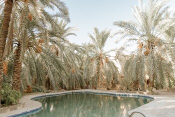 siwa safari paradise hotel