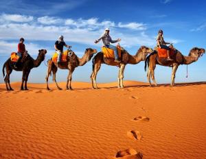 les pyramides hotel merzouga