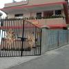 Norma Homestay,Kalimpong>>Darjeeling,0 star