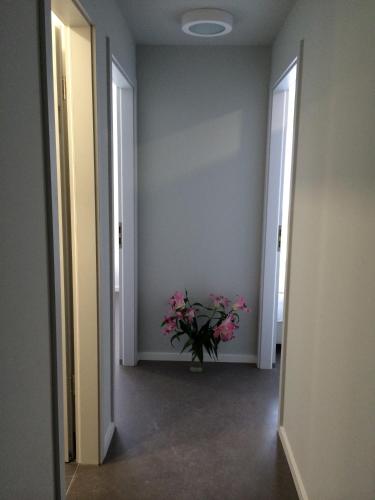 bnb near brandenburg gate