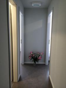 bnb near brandenburg gate