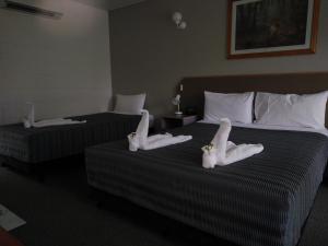capricorn motel and conference centre