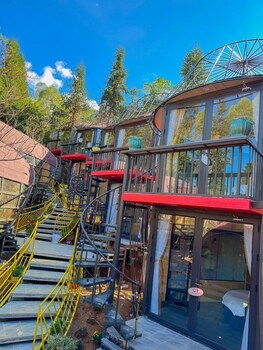 plum homestay hostel