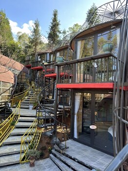 plum homestay hostel