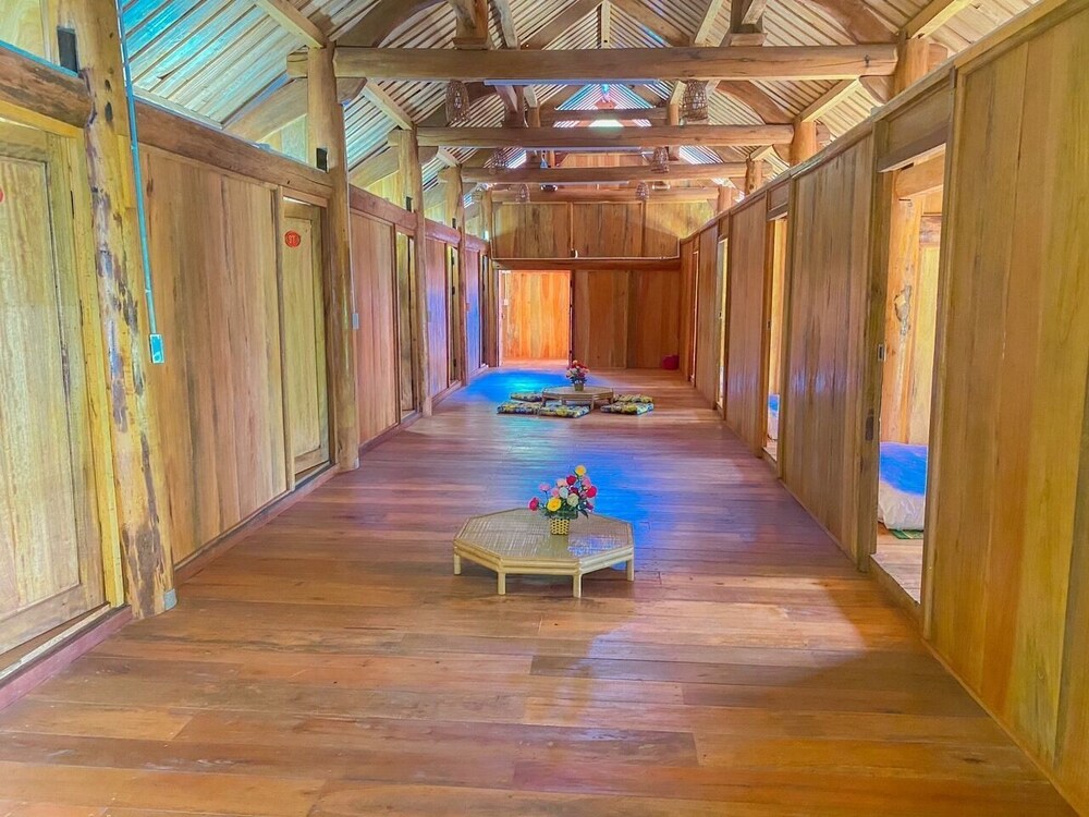 plum homestay hostel