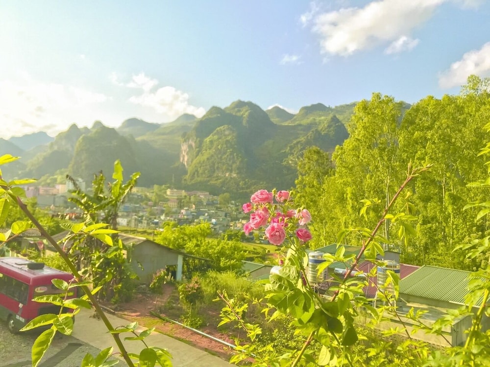 plum homestay hostel