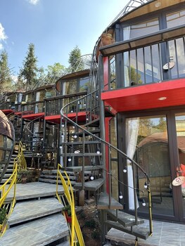 plum homestay hostel