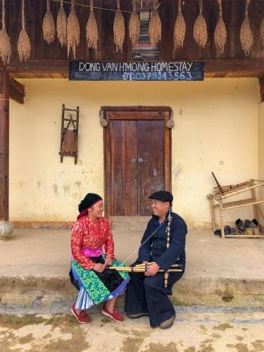 plum homestay hostel