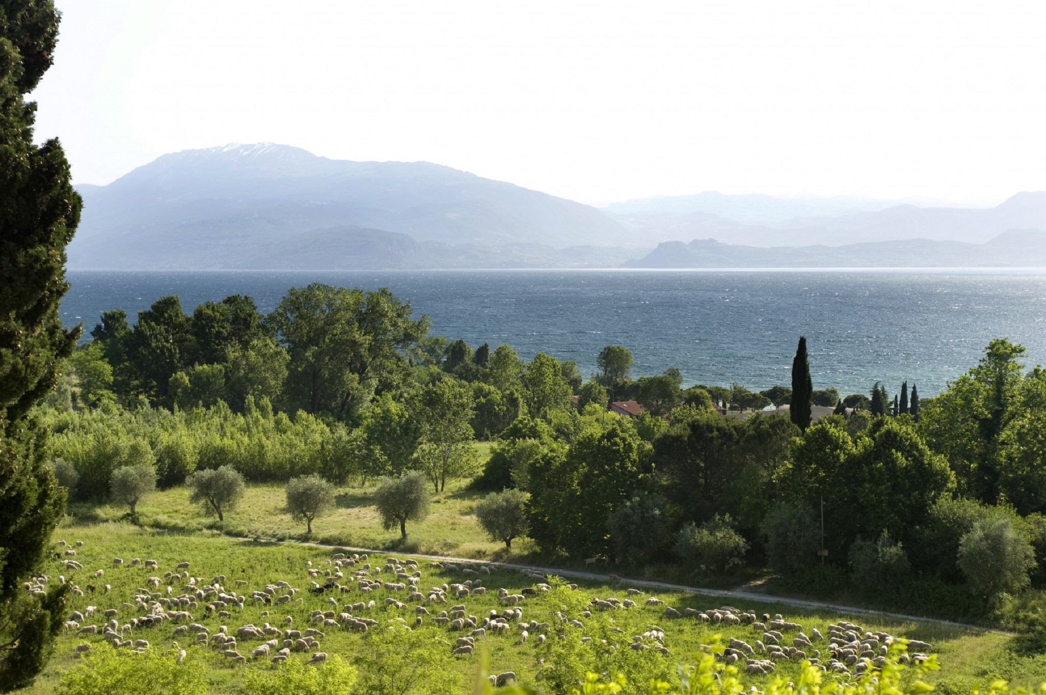 Castello Belvedere Apartments,Desenzano Del Garda>>Brescia,4 star