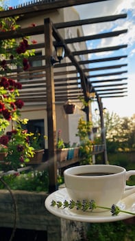 calina otel