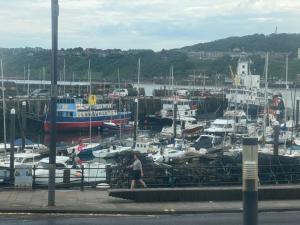 ivy by the sea bandb