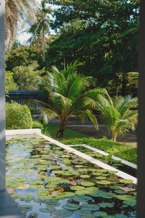 twin lotus resort and spa adult only