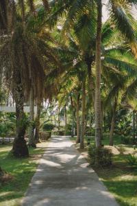 twin lotus resort and spa adult only