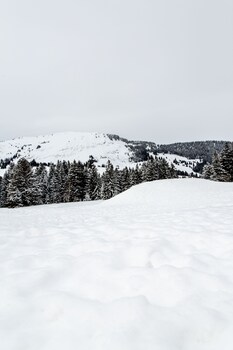 relais alpin