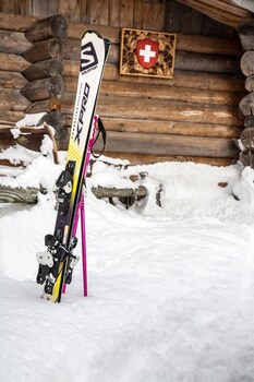 relais alpin