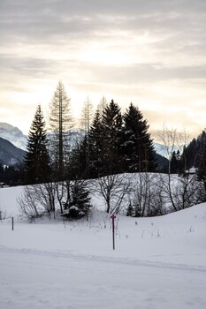 Relais Alpin,,3 star