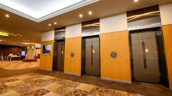 the kashihara