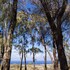 lumeria maui educational retreat center