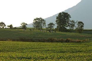 cave hill farm bed and breakfast