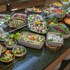 vilar rural de sant hilari by serhs hotels