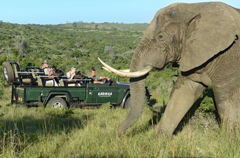 kariega game reserve settlers drift