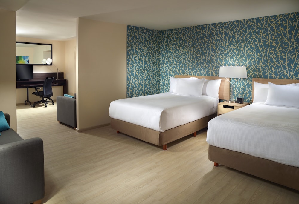 one saltillo aeropuerto