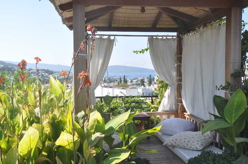 el vino hotel suites