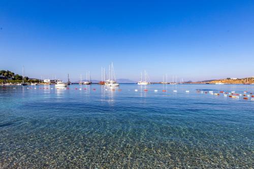 diamond of bodrum