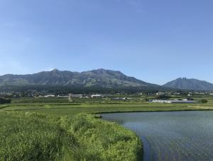 aso