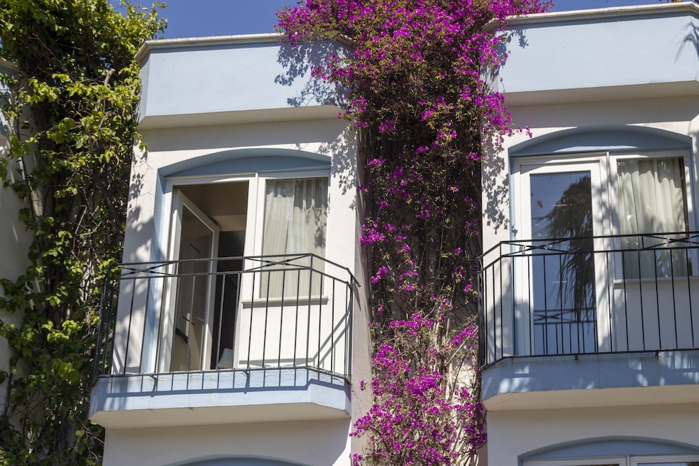 bodrum