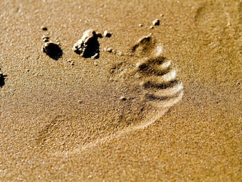 Sea Breeze Apartment Near The Eden Project,,0 star