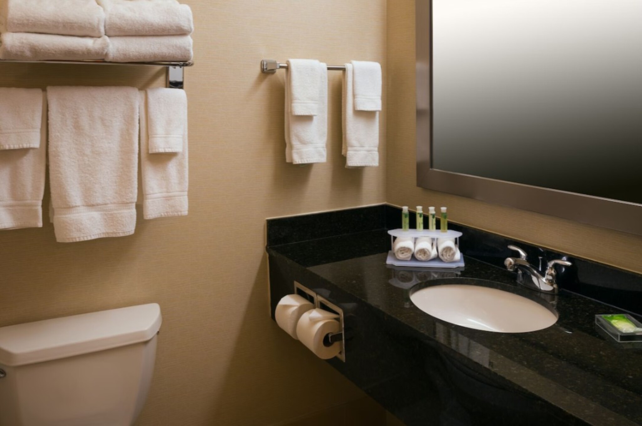 holiday inn express and suites chicago west roselle an ihg hotel