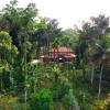 coorg