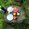 coorg