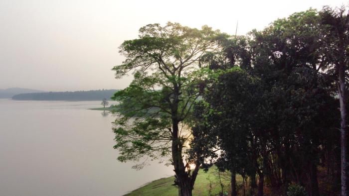 coorg