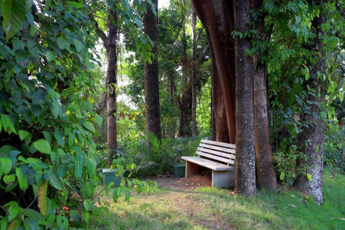 coorg