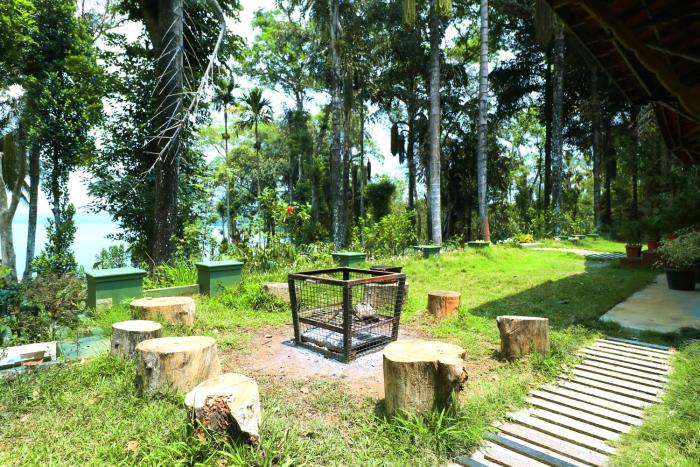 coorg