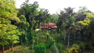 coorg