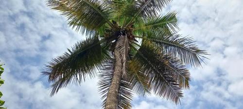 Coorg End Homestay Kushal Nagar,Piriyapatna>>Kushalnagar,0 star