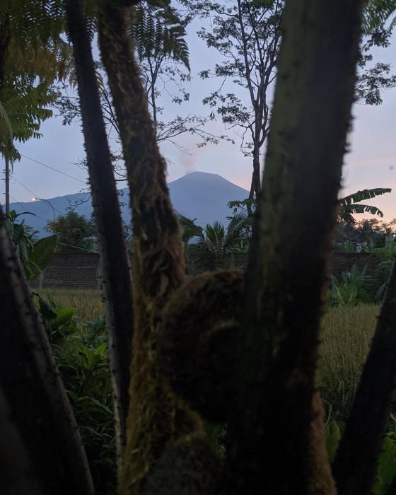 reddoorz at jalan raya baturaden