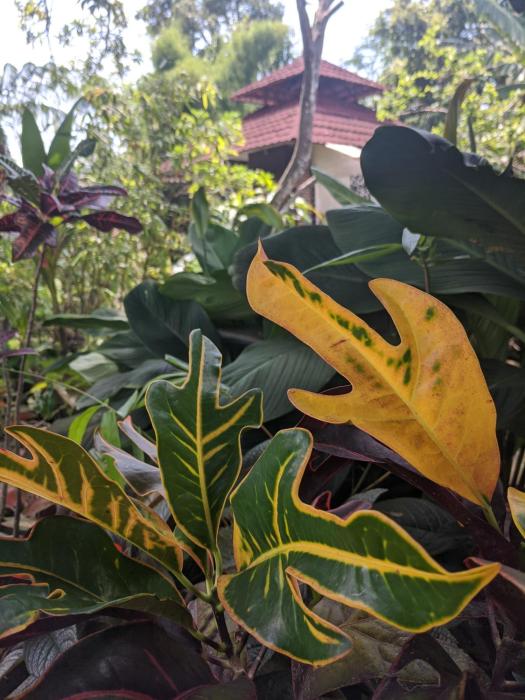 reddoorz at jalan raya baturaden